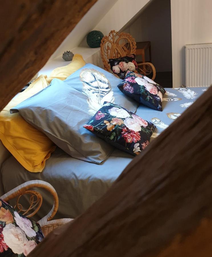 Maison Belenos Nevy-Sur-Seille 외부 사진